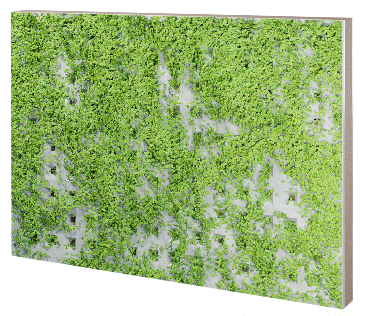 BEGRÜNTE AKUSTIKWAND ARMACOFFRÉ® - IDSB
